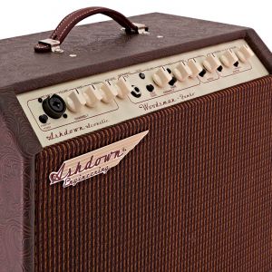 Ashdown Woodsman Jumbo 65w Acoustic Combo