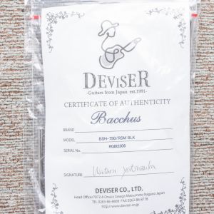 Bacchus Stratocaster HSS BSH-750 RSM Negro