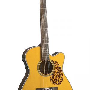 Blueridge BR-163CE Guitarra Acústica