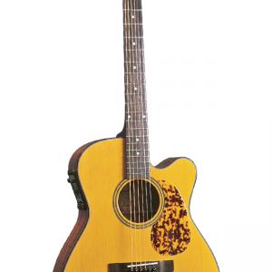 Blueridge BR-143CE Acoustic Guitar
