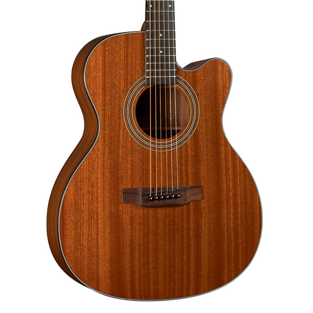 Bristol Guitars BM15CE Guitarra Electroacústica BStock Fanatic Guitars