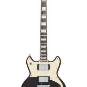D'Angelico Premier Brighton Black Flake