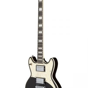 D'Angelico Premier Brighton Black Flake