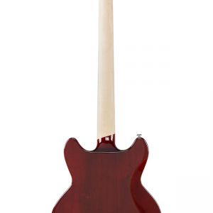 D'Angelico Premier Brighton Sky Blue