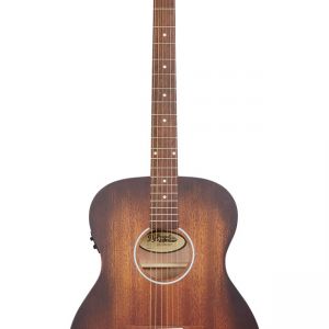 D'Angelico Premier Tammany Ls Aged