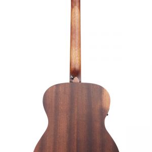 D'Angelico Premier Tammany Ls Aged