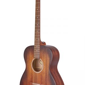 D'Angelico Premier Tammany Ls Aged