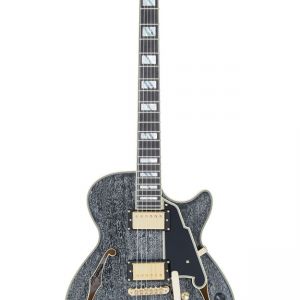 D'Angelico Excel SS Black Dog