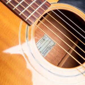 Epiphone FT 145 S Made in Japan Second Hand