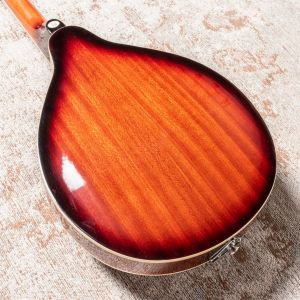 Fender W FM-100 Mandolin Pack