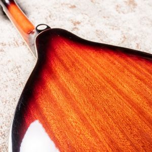 Fender W FM-100 Mandolin Pack