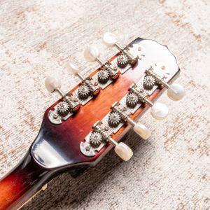 Fender W FM-100 Mandolin Pack