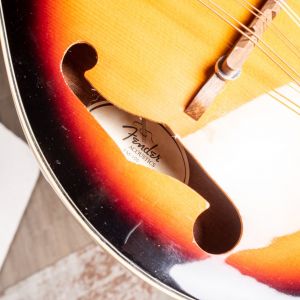 Fender W FM-100 Mandolin Pack