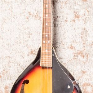 Fender W FM-100 Mandolin Pack