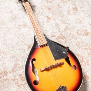 Fender W FM-100 Mandolin Pack