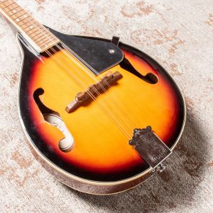 Fender W FM-100 Mandolin Pack