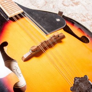 Fender W FM-100 Mandolin Pack