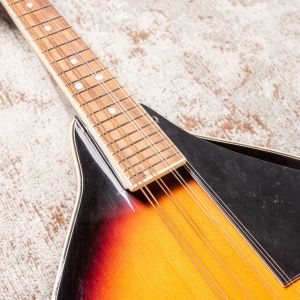 Fender W FM-100 Mandolin Pack