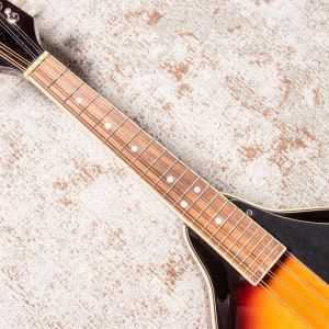 Fender W FM-100 Mandolin Pack