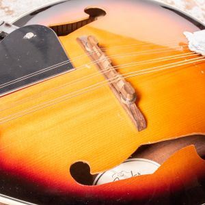 Fender W FM-100 Mandolin Pack