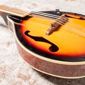 Fender W FM-100 Mandolin Pack