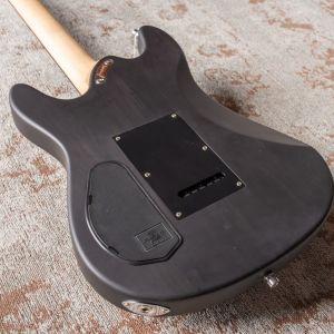 Framus D-Series Diablo Pro - Nirvana Black Transparent