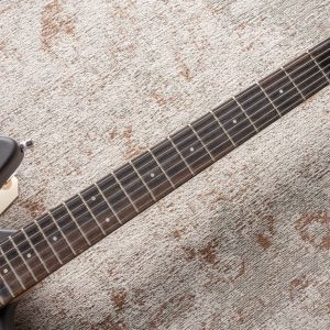 Framus D-Series Diablo Pro - Nirvana Black Transparent