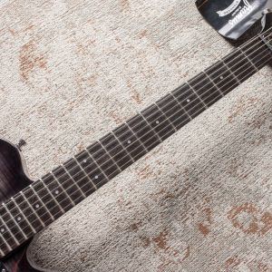 Framus D-Series Panthera Supreme - Nirvana Black Transparent