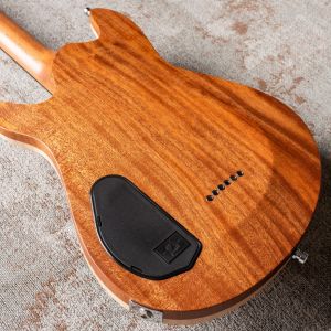 Framus Teambuilt Pro Series Diablo II Supreme - Antique Tobacco Transparent