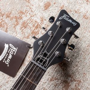 Framus Teambuilt Pro Series Diablo II Supreme - Antique Tobacco Transparent