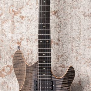 Framus Teambuilt Pro Diablo II Supreme - Nirvana Black Transparent