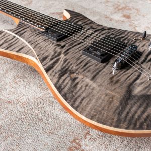 Framus Teambuilt Pro Diablo II Supreme - Nirvana Black Transparent