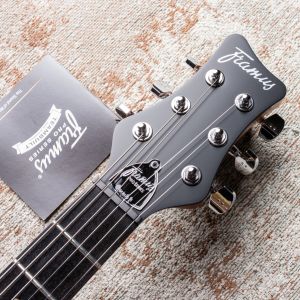 Framus Teambuilt Pro Diablo II Supreme - Nirvana Black Transparent