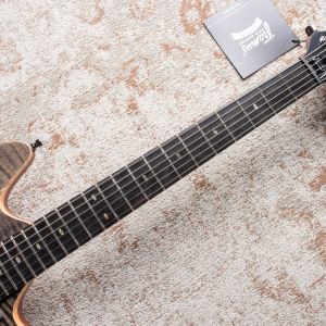 Framus Teambuilt Pro Diablo II Supreme - Nirvana Black Transparent