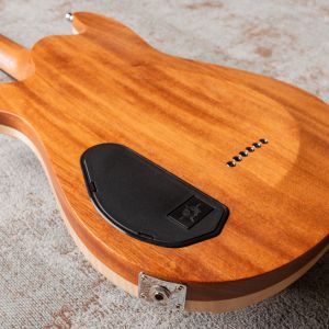 Framus Teambuilt Pro Diablo II Supreme - Nirvana Black Transparent