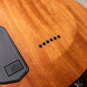 Framus Teambuilt Pro Diablo II Supreme - Nirvana Black Transparent