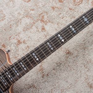 Framus Panthera II Studio Supreme - Nirvana Black Transparent