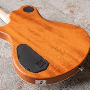 Framus Panthera II Studio Supreme - Nirvana Black Transparent