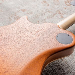 Framus Panthera II Studio Supreme - Nirvana Black Transparent