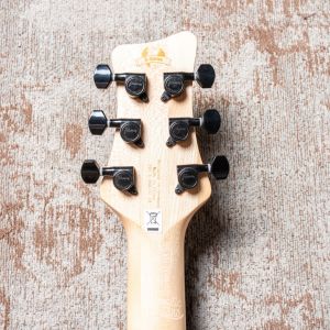 Framus D-Series Diablo Progressive X Nirvana Black  Second Hand