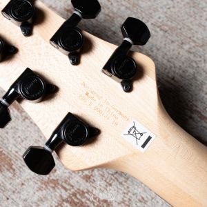 Framus D-Series Diablo Progressive X Nirvana Black  Second Hand