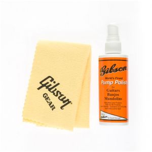Gibson AIGG-950 Cleaning Kit