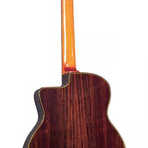 Gitane D-500 Profesional Gypsy Jazz
