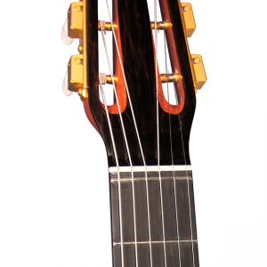 Gitane D-500 Profesional Gypsy Jazz