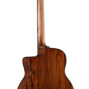 Gitane DG-300 Professional Gypsy Jazz - John Jorgenson