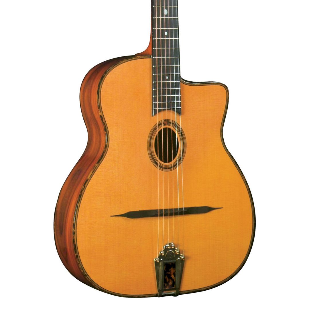 Gitane DG300 Professional Gypsy Jazz John Fanatic Guitars