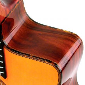 Gitane DG-300 Professional Gypsy Jazz - John Jorgenson