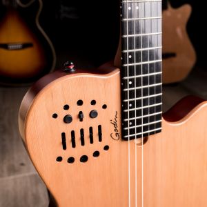 Godin Multiac ACS Slim Nylon Natural SG