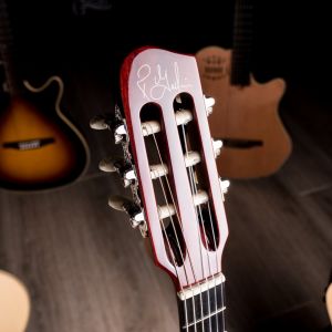 Godin Multiac ACS Slim Nylon Natural SG