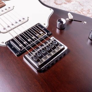 Godin Session HT Bourbon Burst RN